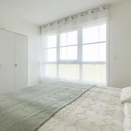 A Paris - Jo 2024 - Haddock 01 Chessy (Seine-et-Marne)